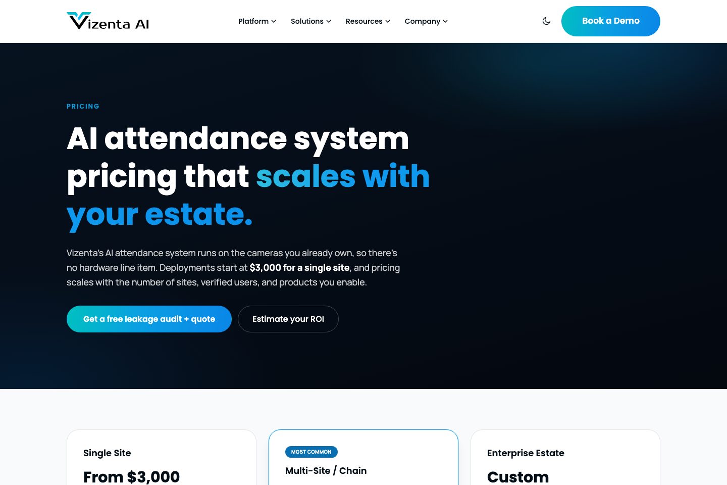 Vizenta Visitor pricing page screenshot